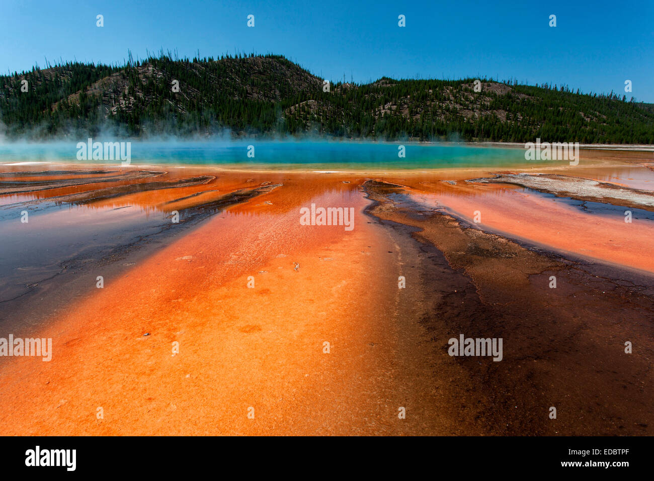 Grand Prismatic Spring, Midway Geyser Basin, Yellowstone National Park, Wyoming, United States Stock Photo