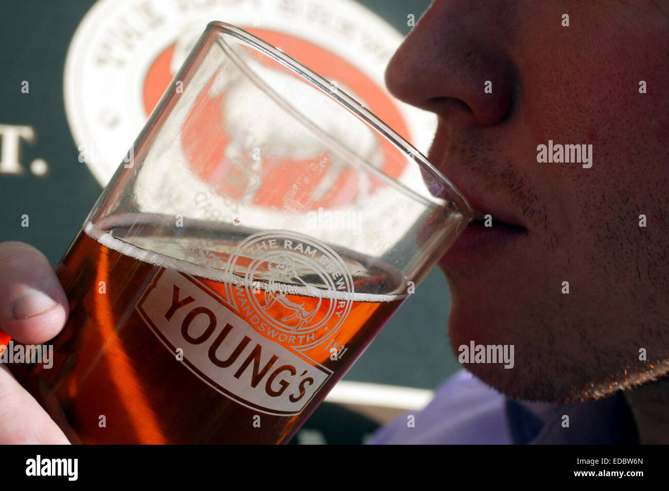 A person drinking a pint of beer at a Young & Co's Brewery. Stock Photo