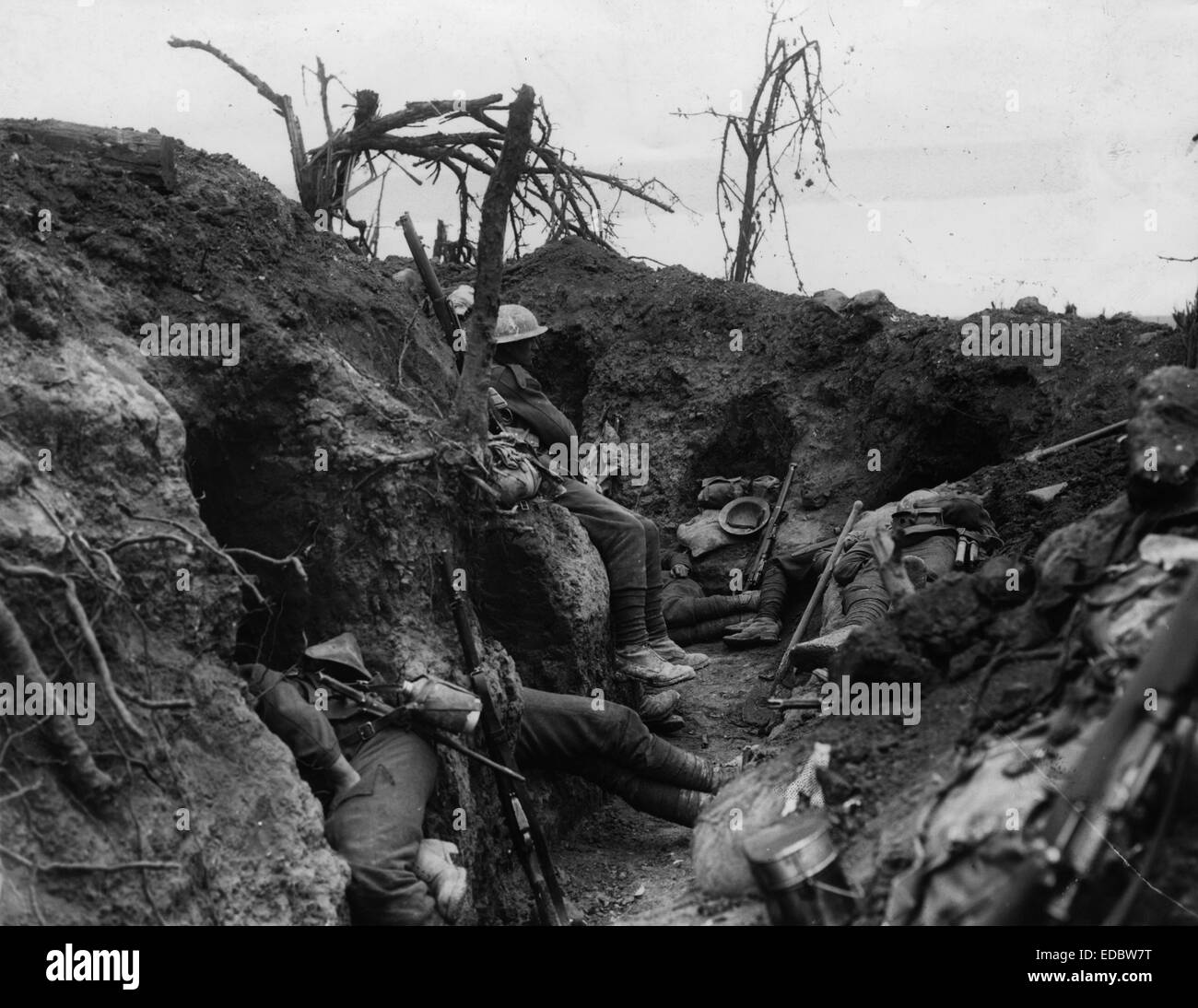 Border regiment hires stock photography and images Alamy