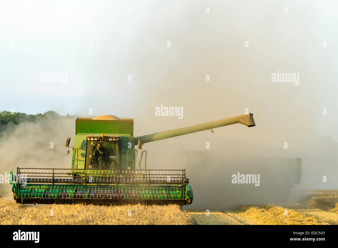 Crop dust rising around a combine harvester and tractor with trailer during the harvesting of