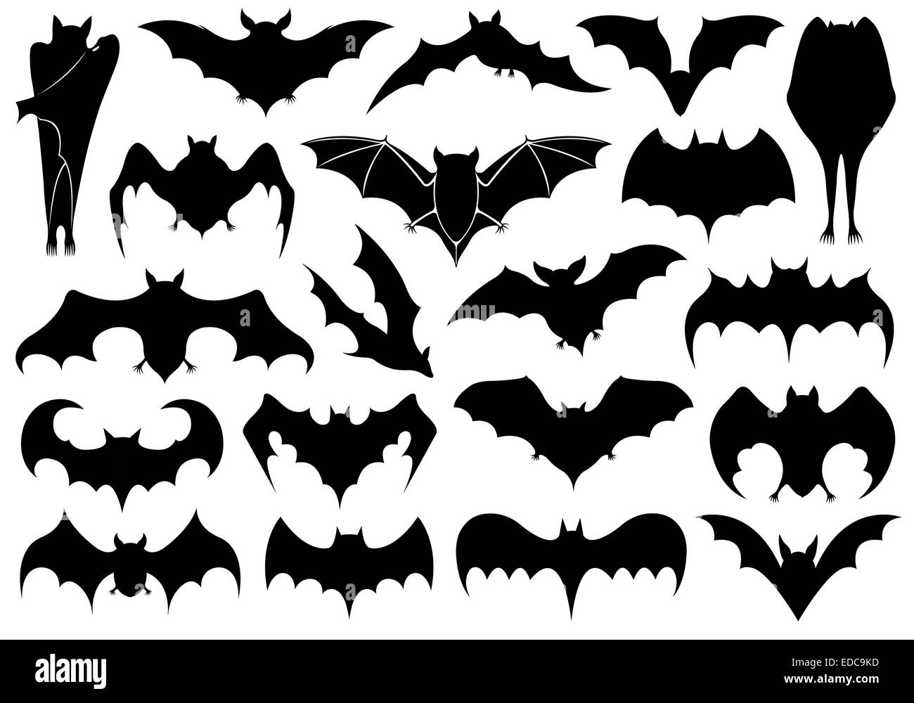 Set of different bats Stock Photo
