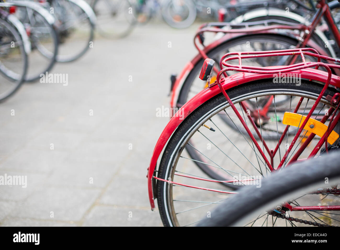Bike rental service Many bikes standing in bike stands, available for