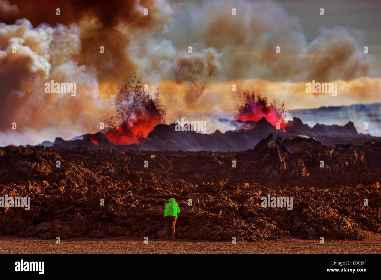 Scientist touching new lava, Holuhraun Fissure Eruption, Bardarbunga Volcano, Iceland Stock Photo