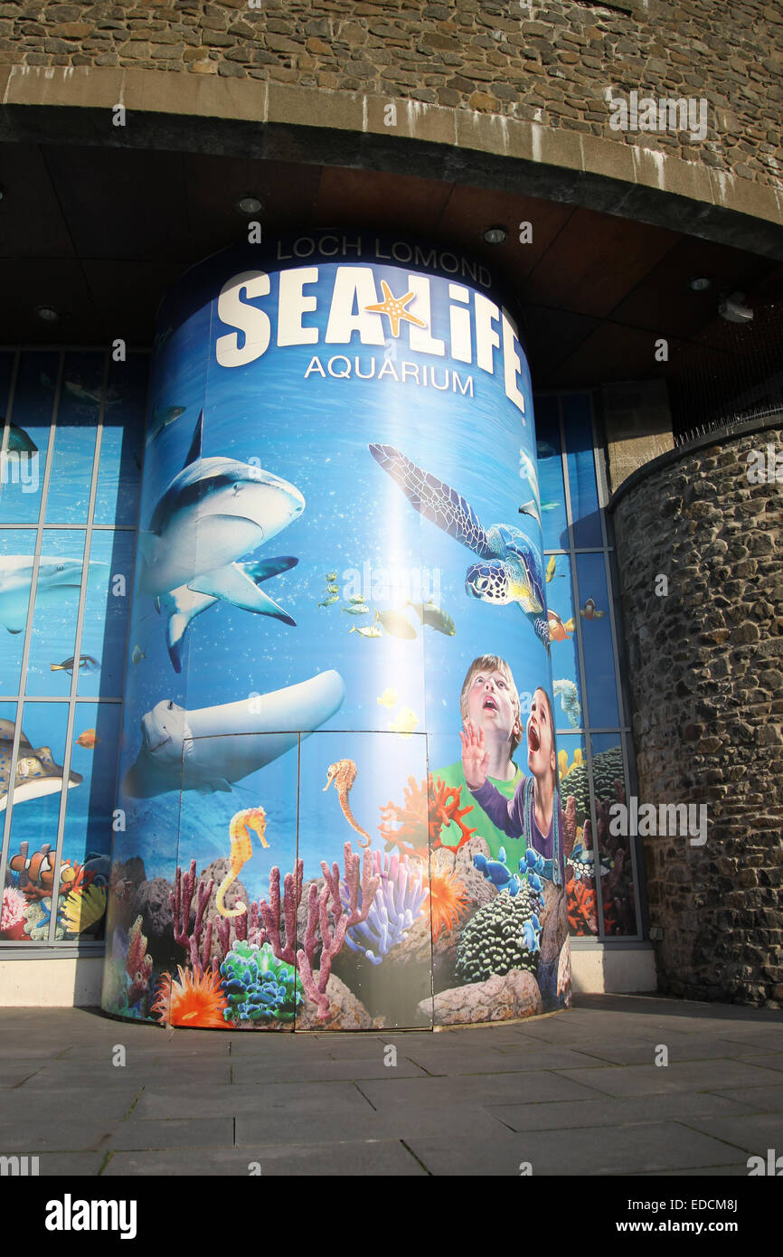 Sea life visitor centre Lomond Shores Balloch Stock Photo - Alamy
