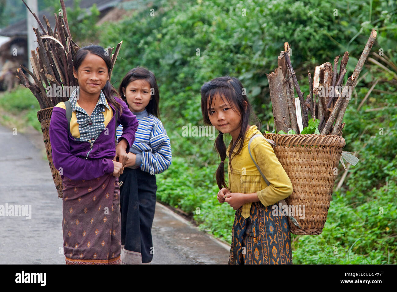 Young Lao girls carry brushwood in a basket on their back, Luang Namtha Province, Northern Laos Stock Photo