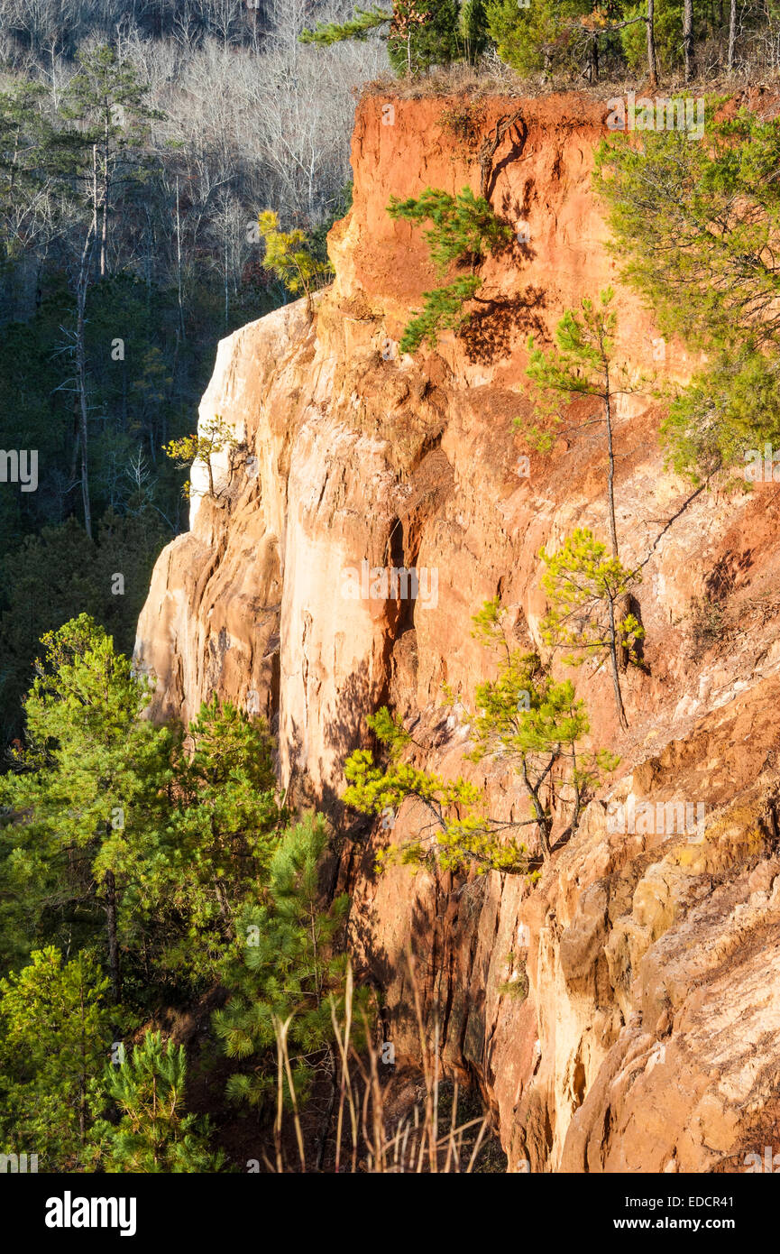 Sunlit cliff wall at Providence Canyon in Providence Canyon State Park, Lumpkin, Georgia. (USA) Stock Photo