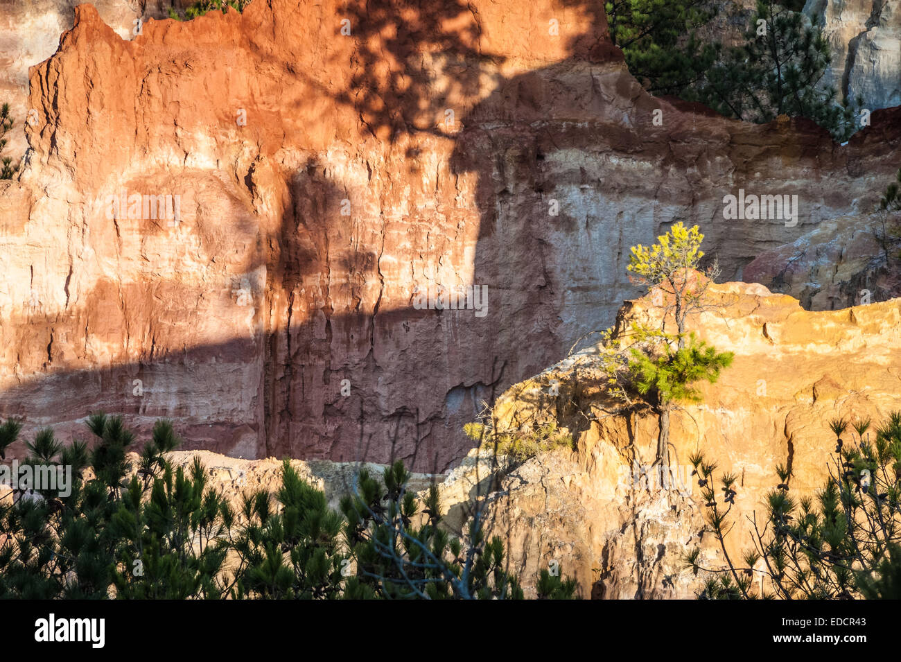 Sunrise light casts distinct shadows on cliff walls and fins in Georgia's colorful Providence Canyon, also known as 'Little Grand Canyon.' (USA) Stock Photo