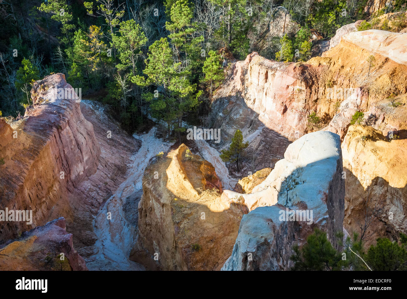 Looking down into a colorful canyon at Providence Canyon State Park in Lumpkin, Georgia, USA. Stock Photo
