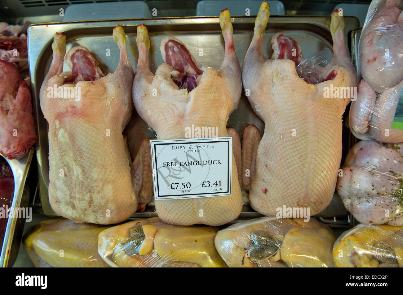Game displayed in butchers shops in Bristol. Stock Photo