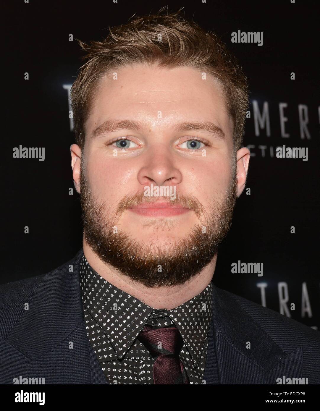 Guests attend the Irish premiere of 'Transformers Age of Extinction' at The Savoy in Dublin