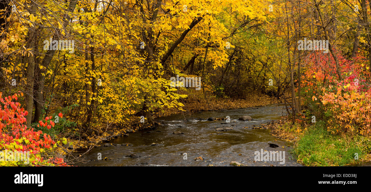 Minnehaha Creek surrounded by autumn colors. Stock Photo