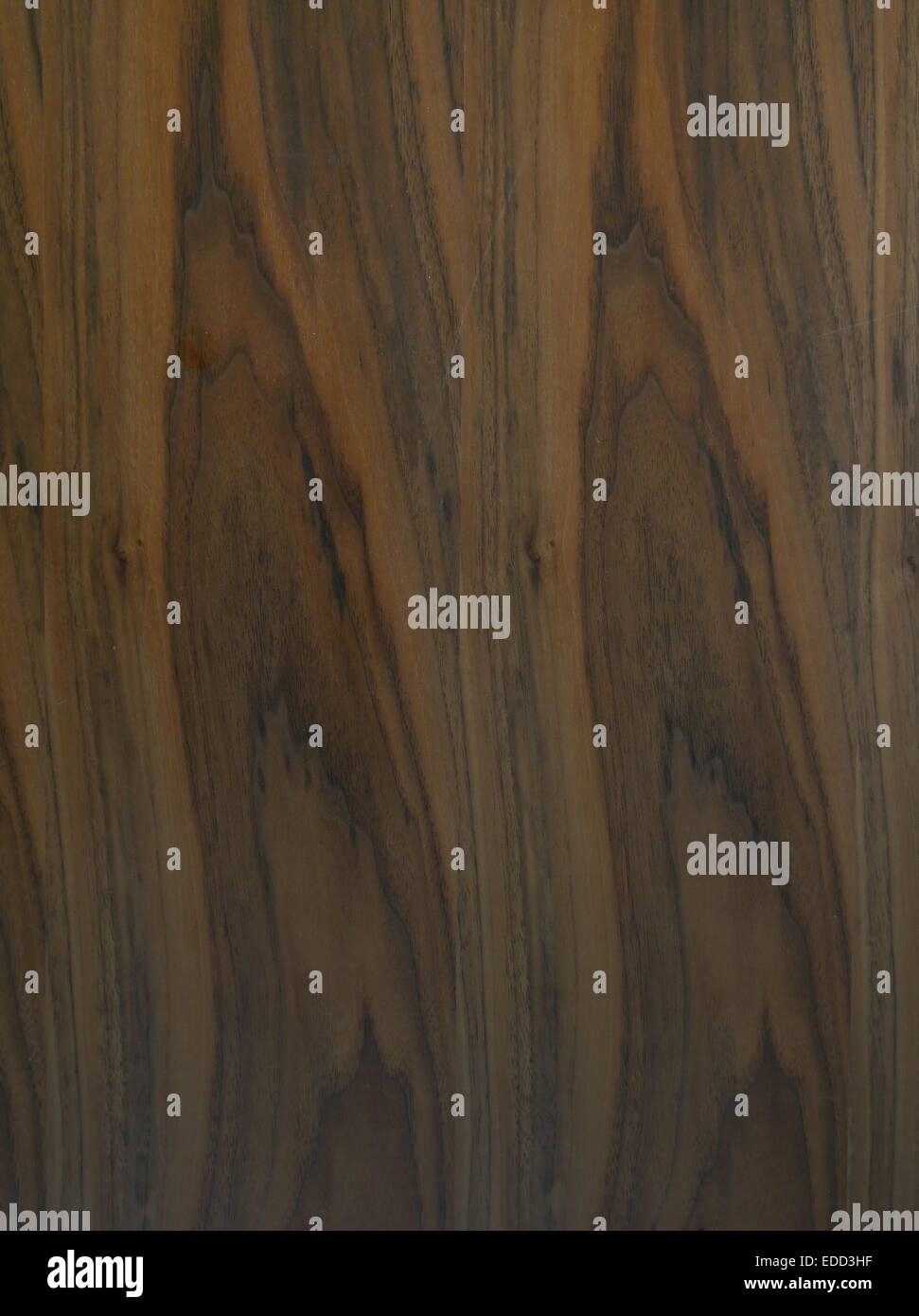 Maple panel of wood hi-res stock photography and images - Alamy