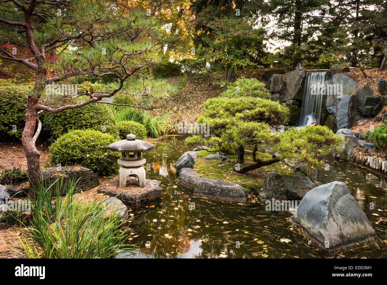 Japanese Garden at the Minnesota Landscape Arboretum Stock Photo Alamy