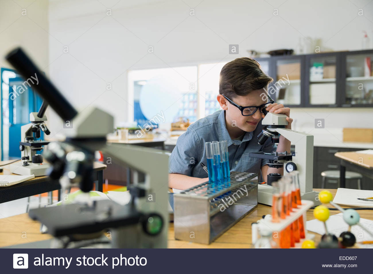 Elementary student using microscope in laboratory Stock Photo Alamy