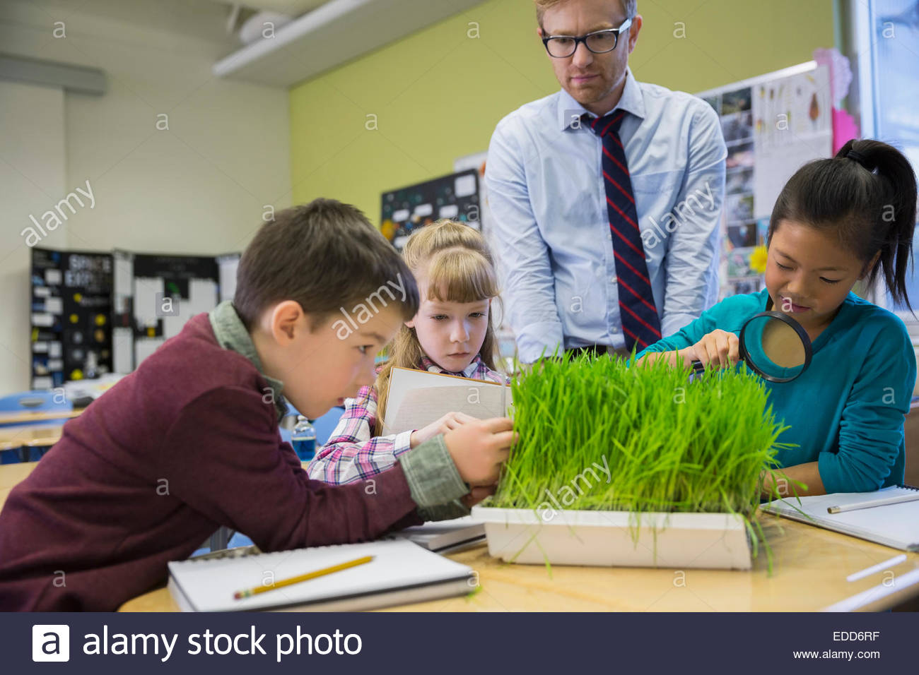 Teacher and elementary students examining sprouts in laboratory Stock