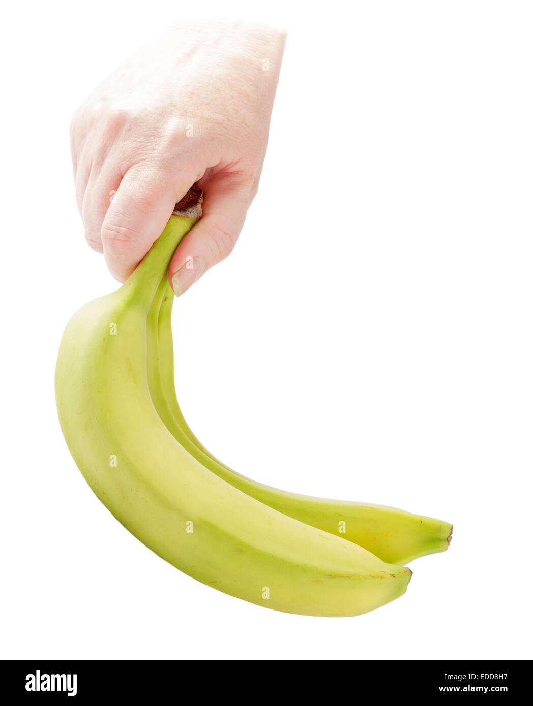 Hand holding bunch of bananas Stock Photo