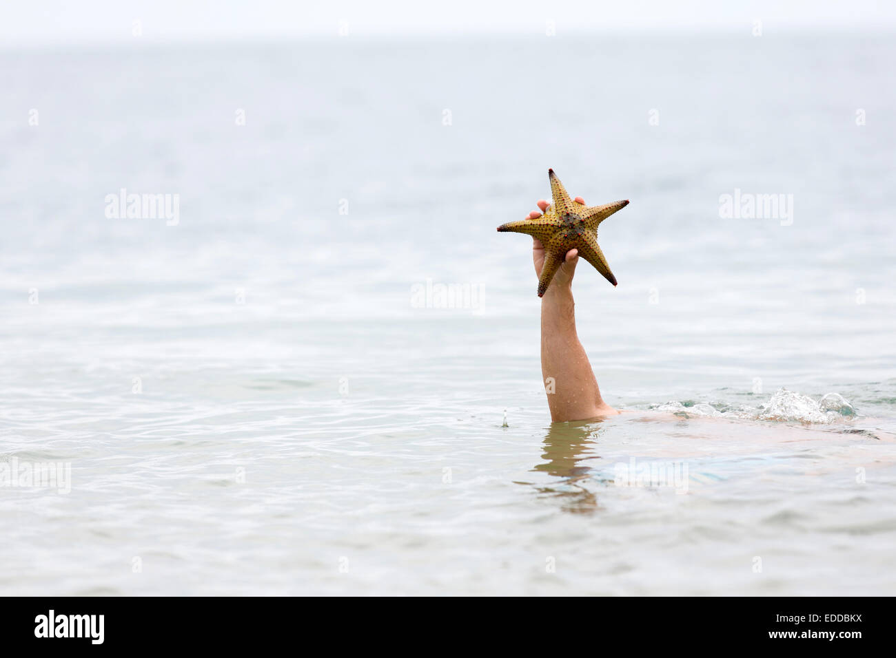 hand in sea water holding a starfish Stock Photo