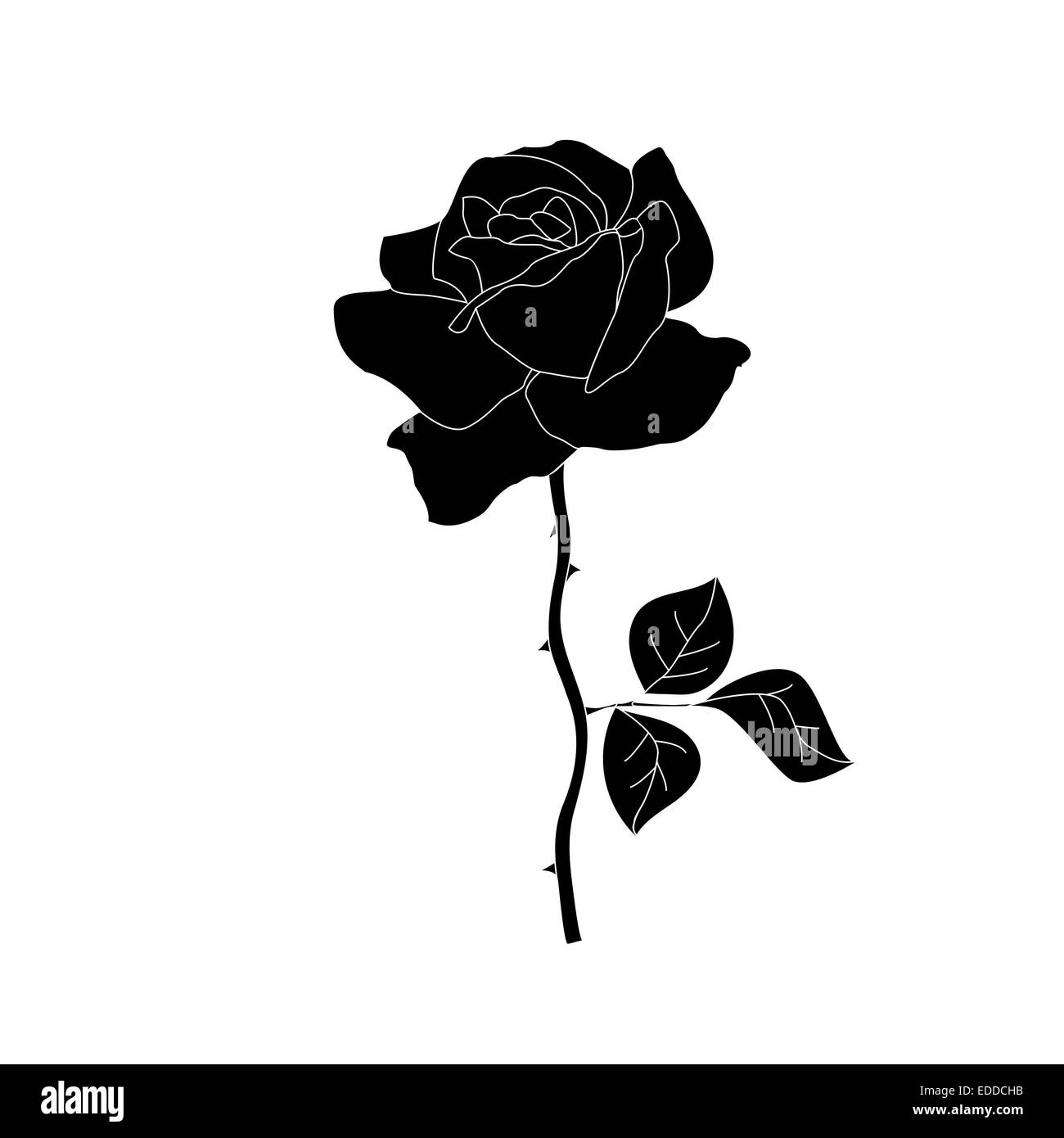 Rose silhouette hi-res stock photography and images - Alamy