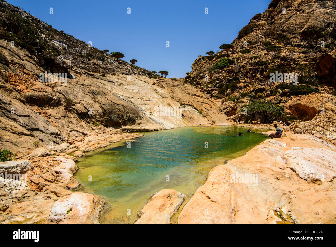 Pond at the coast, Homhil protected area, island of Socotra, Yemen Stock Photo