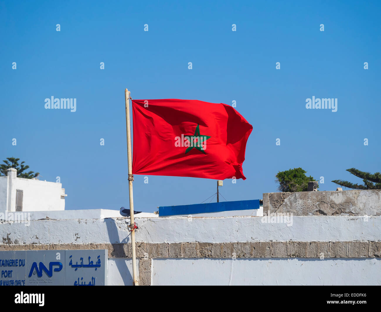Flag of Morocco in front of blue sky Stock Photo