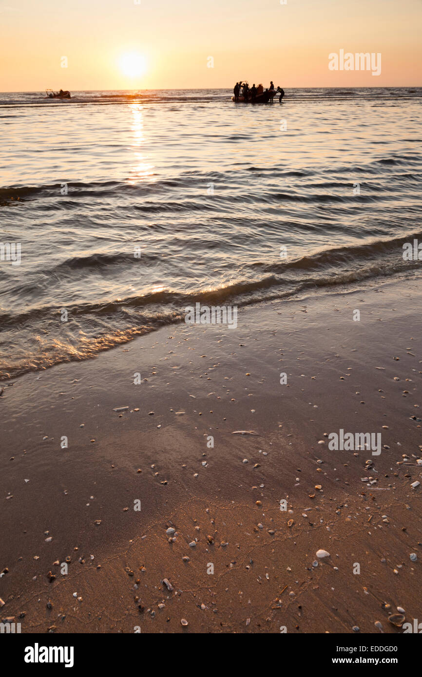 Netherlands, Bloemendaal, people in the ocean at sunset Stock Photo