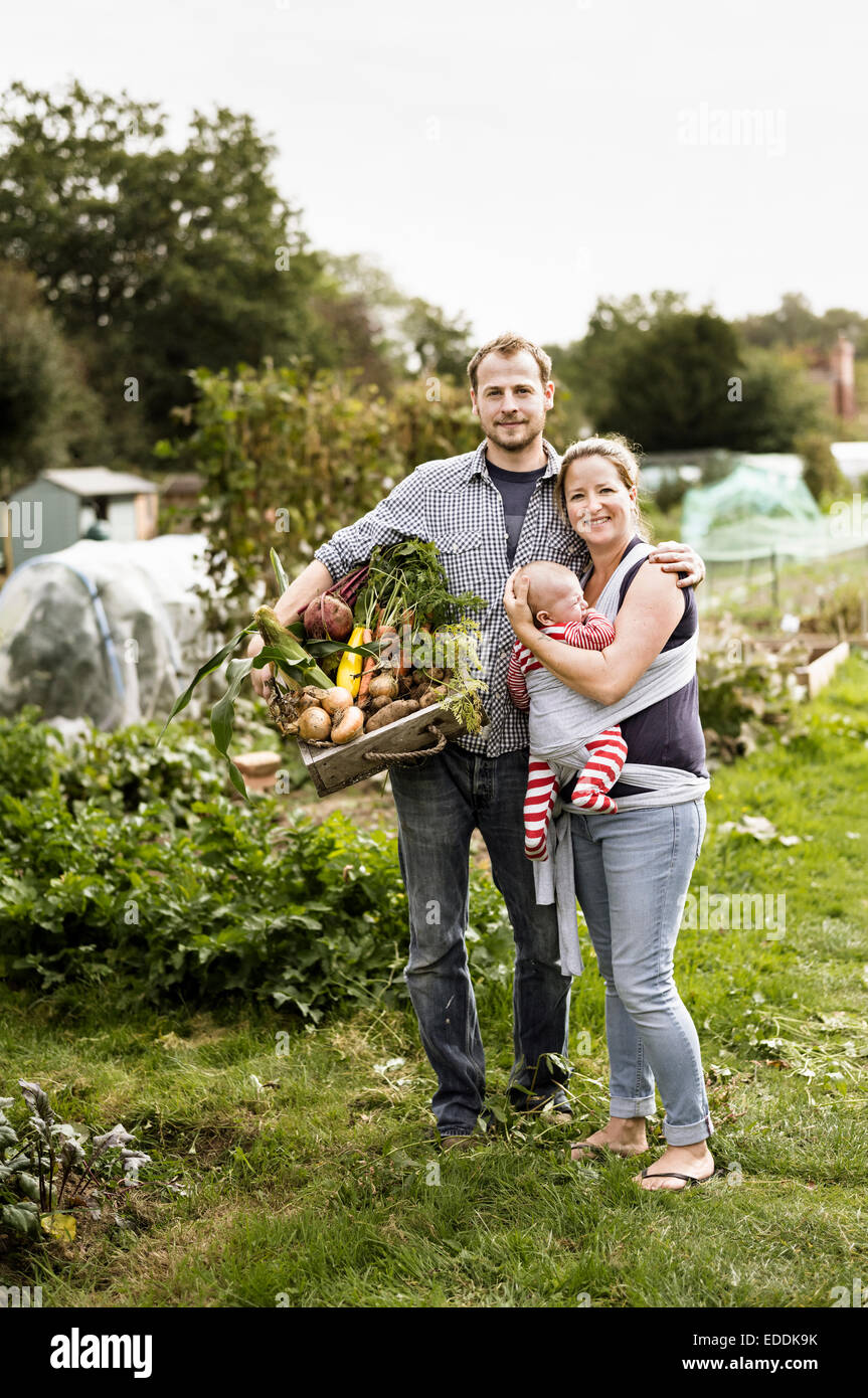 Young family standing in their allotment, smiling. Man holding a box full of freshly picked vegetables. Stock Photo
