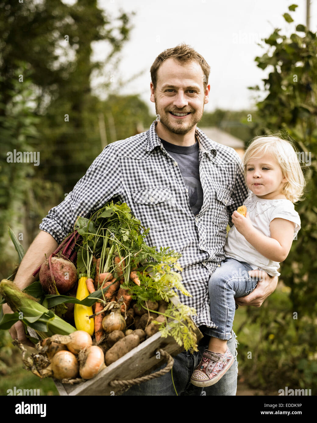 Man standing in his allotment with his daughter, smiling, holding a box full of freshly picked vegetables. Stock Photo