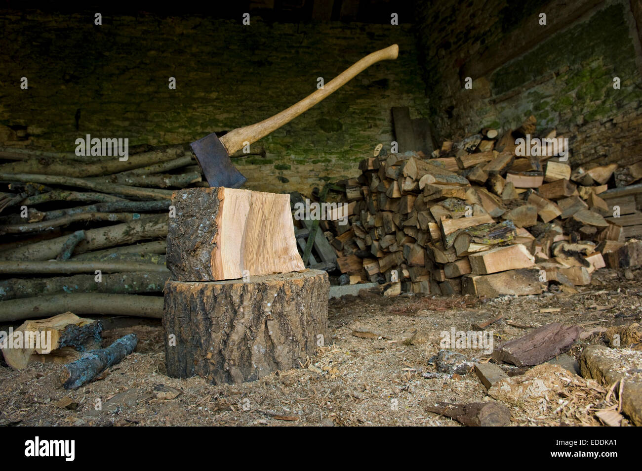 Axe stuck in a piece of wood on top of a chopping block, a pile of logs and chopped wood. Stock Photo