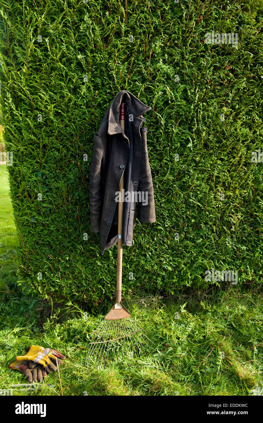 A coat hanging from a leaf rake leaning against a hedge. Stock Photo