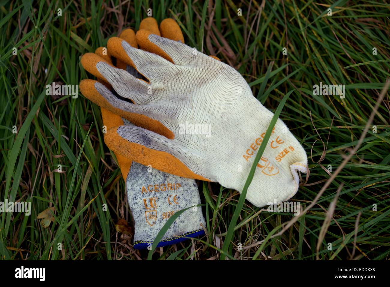 Gardening gloves in the grass Stock Photo Alamy
