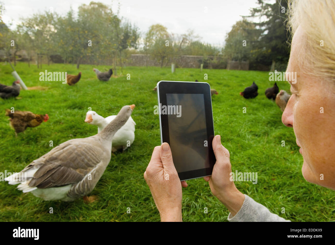 Photographing with a tablet hi-res stock photography and images - Alamy