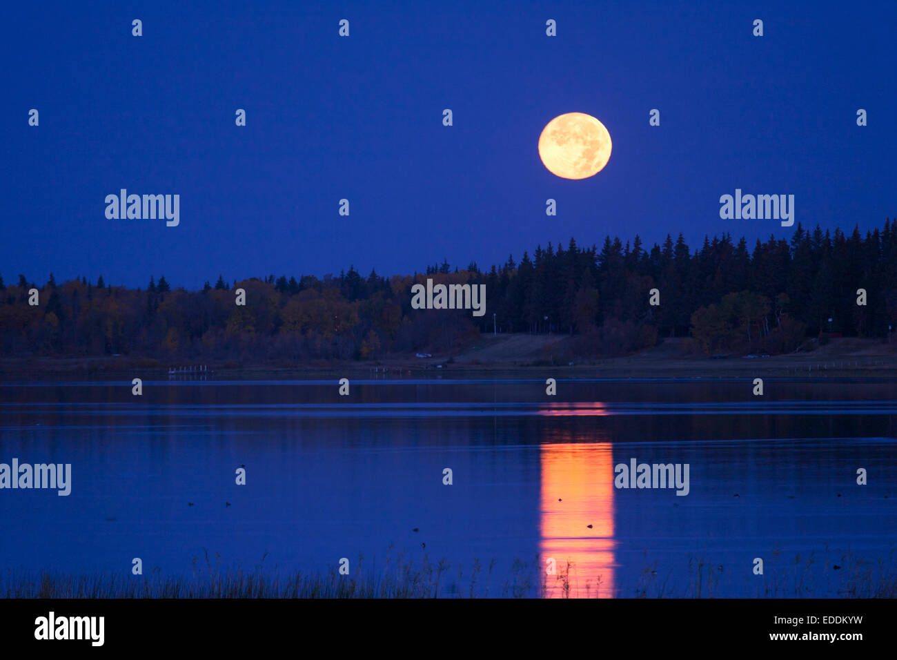 A full moon in the night sky reflected in the waters of a lake Stock ...