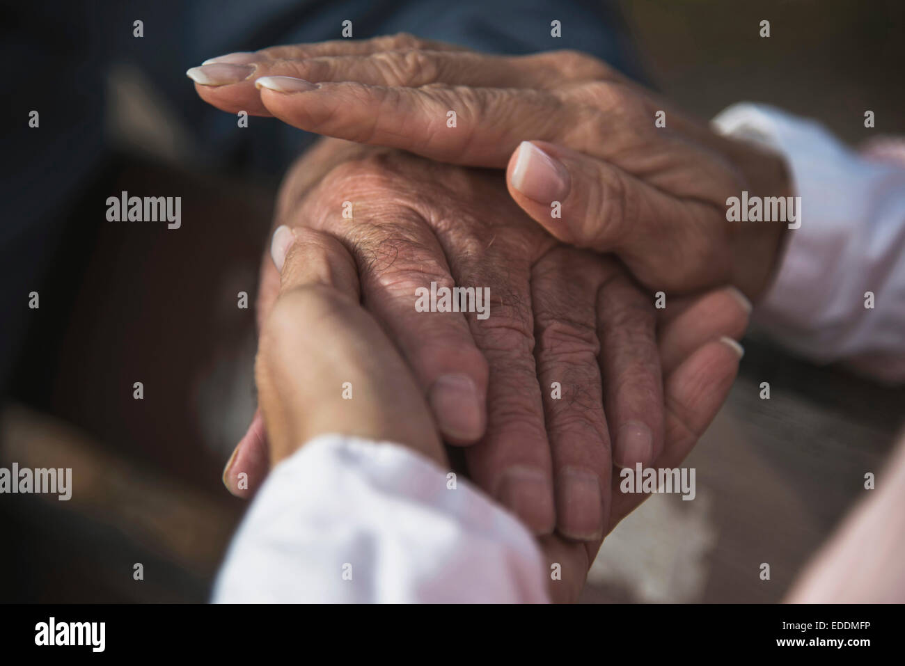 Daughter holding hand of senior man Stock Photo
