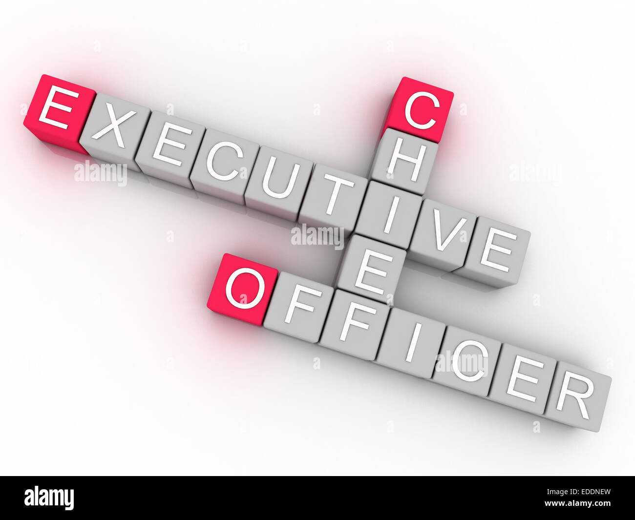 3d imagen CEO  issues concept word cloud background Stock Photo