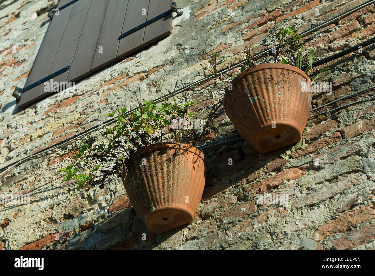 two pots hanging on an old  wall Stock Photo