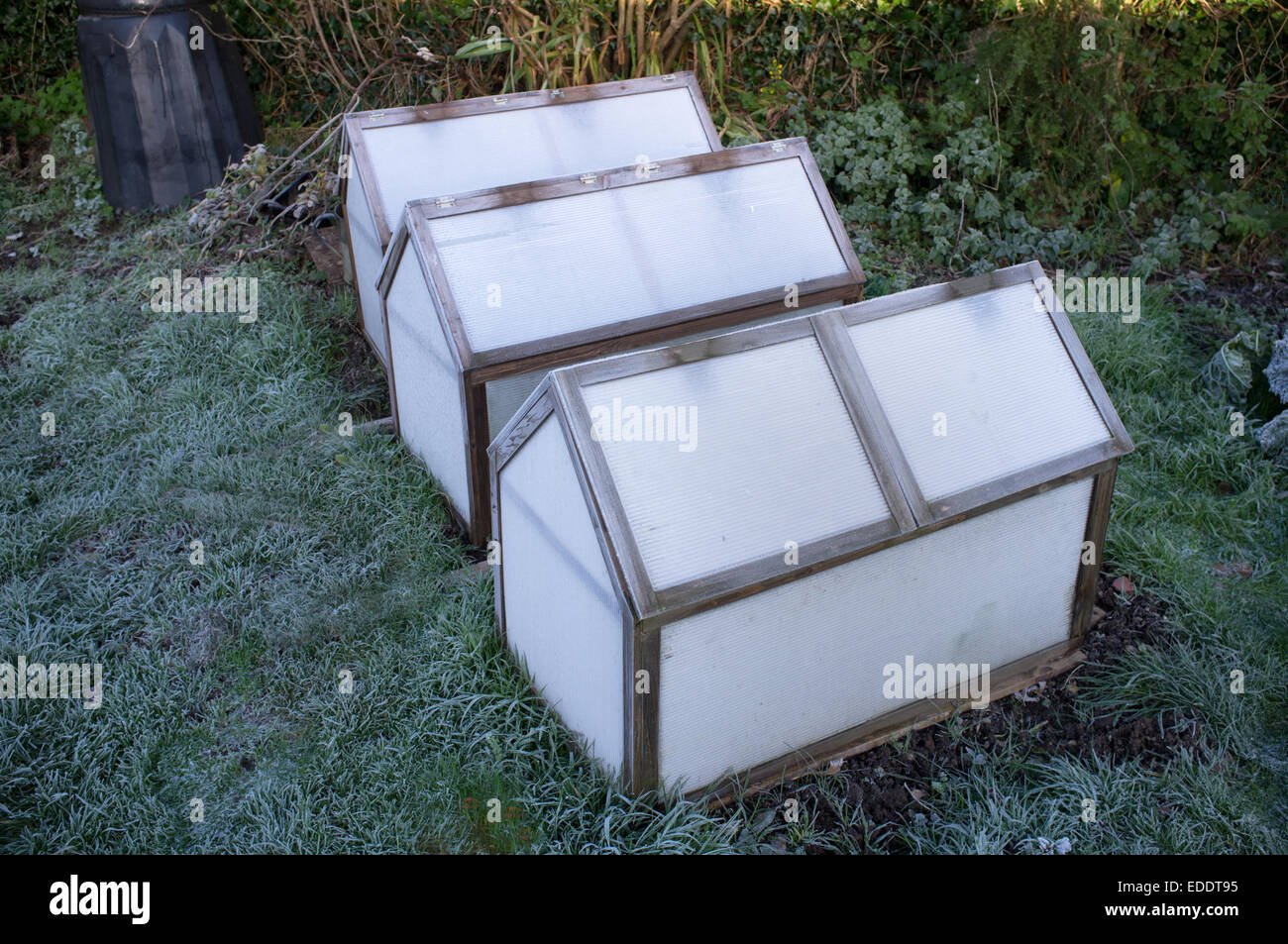 Frost covered cold frames Stock Photo