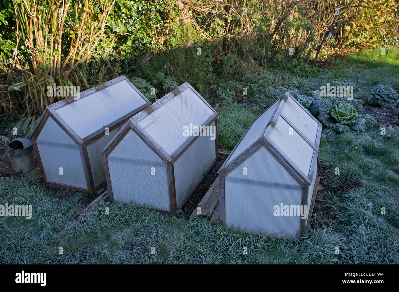 Frost covered cold frames Stock Photo