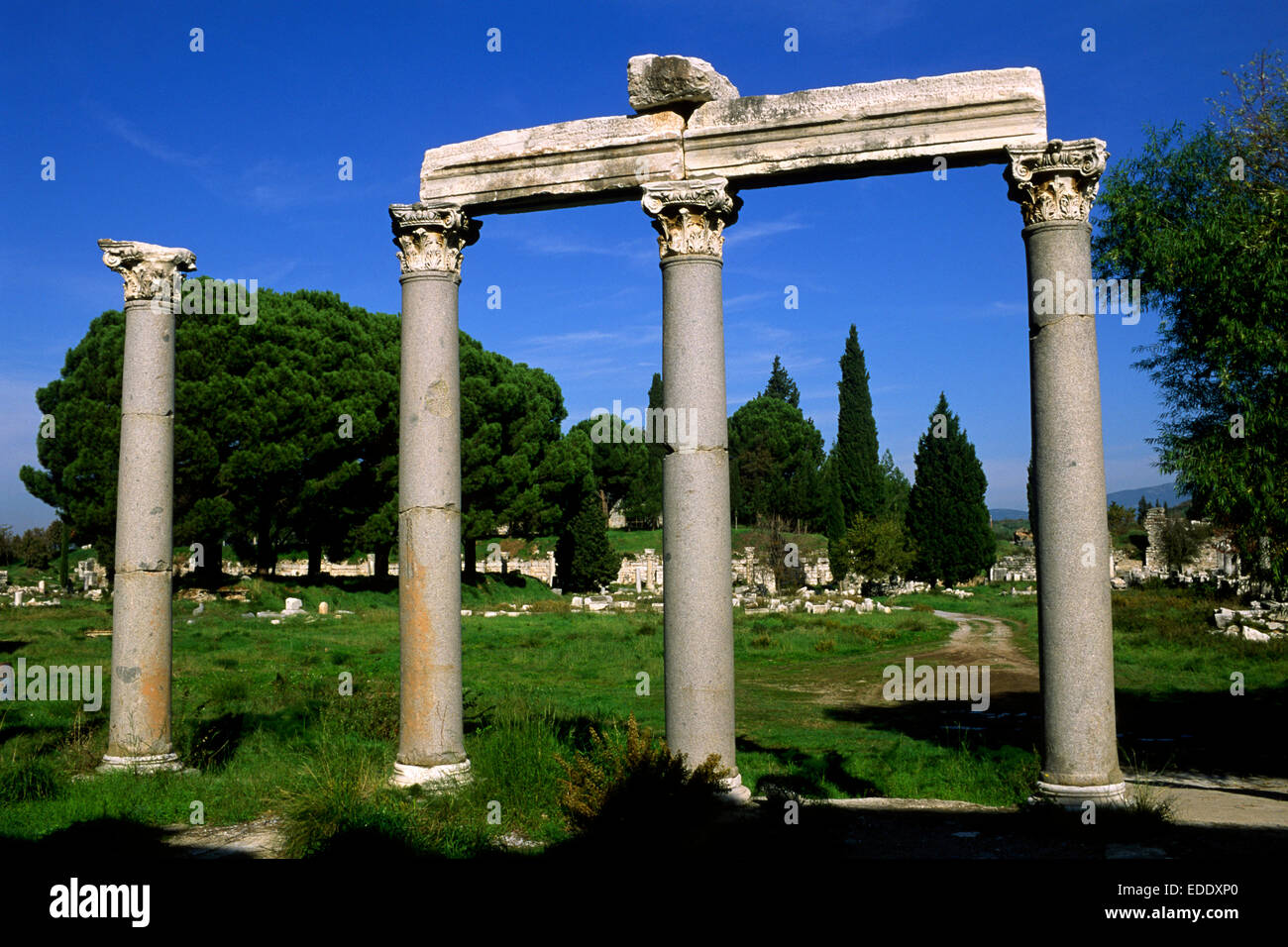 Turkey, Ephesus, Agora, roman corinthian columns Stock Photo