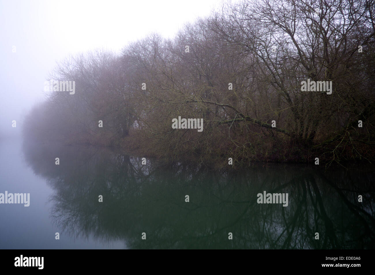 Trees along canal reflecting in water Stock Photo
