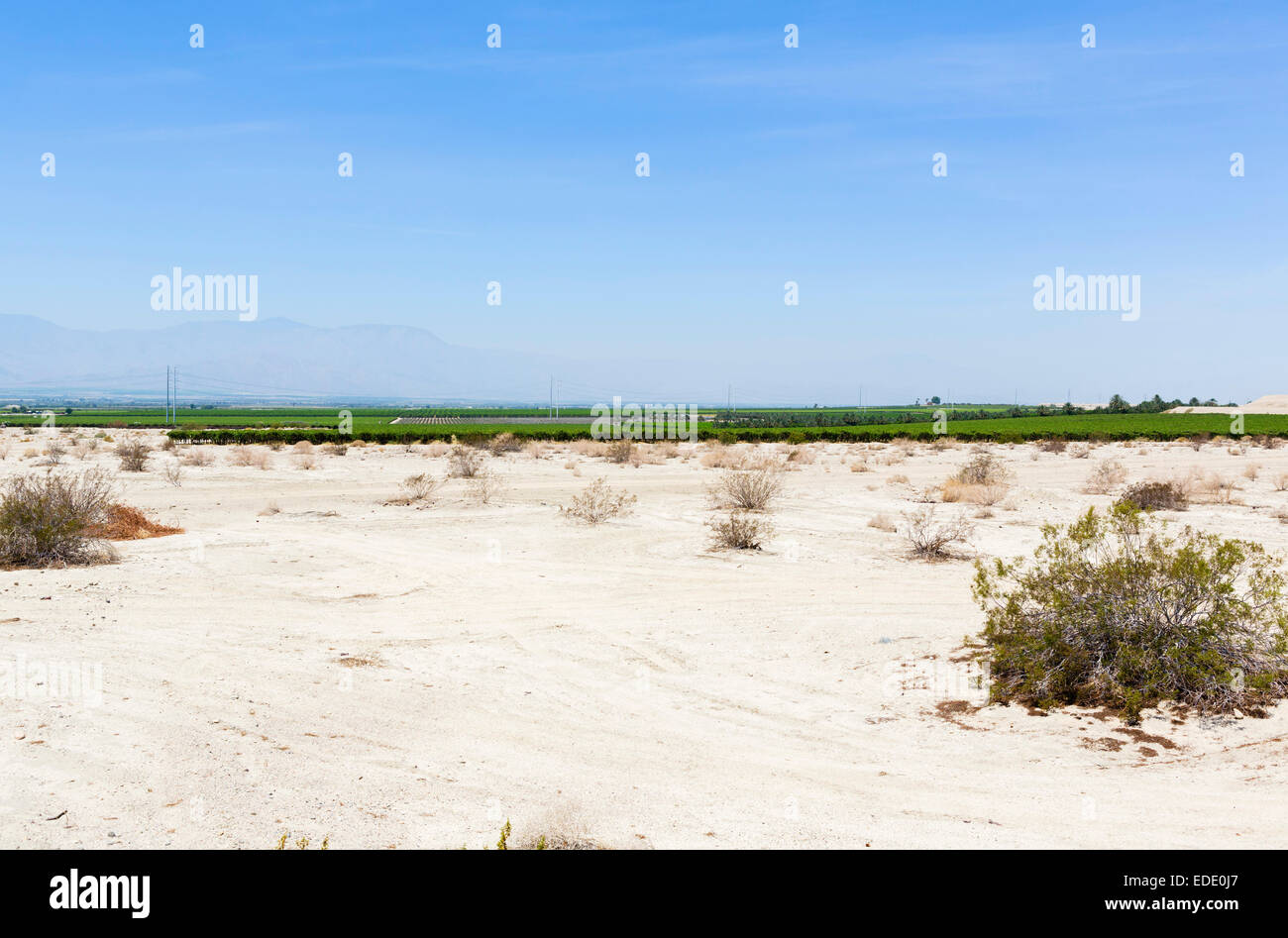 Contrast between the dry desert and the irrigated farmland of the Imperial Valley, Imperial County, California, USA Stock Photo