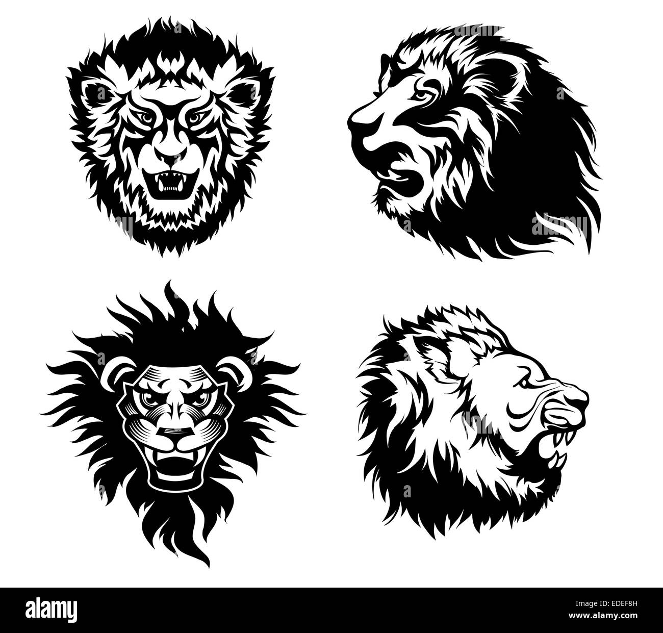 growling lion tattoo EDEF8H