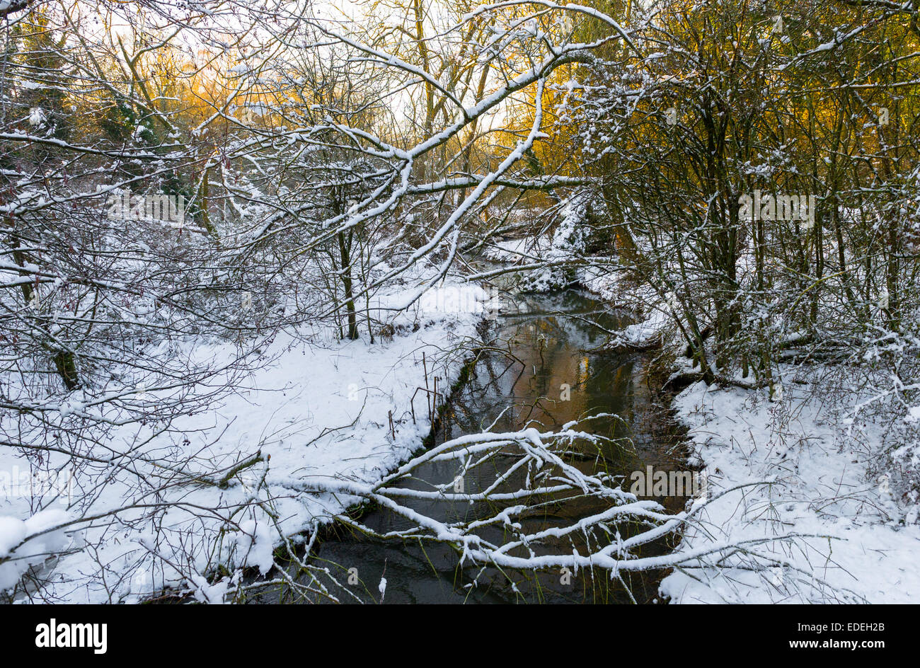 Woodland river hi-res stock photography and images - Alamy
