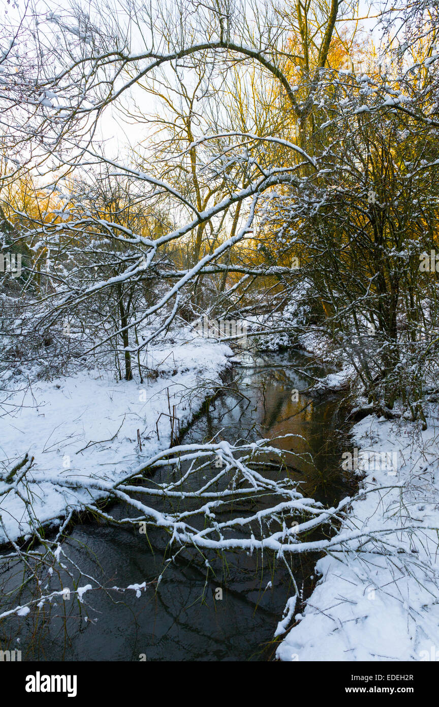 Woodland river hi-res stock photography and images - Alamy