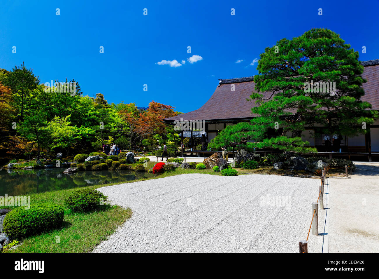 Japanese bonsai hires stock photography and images Alamy