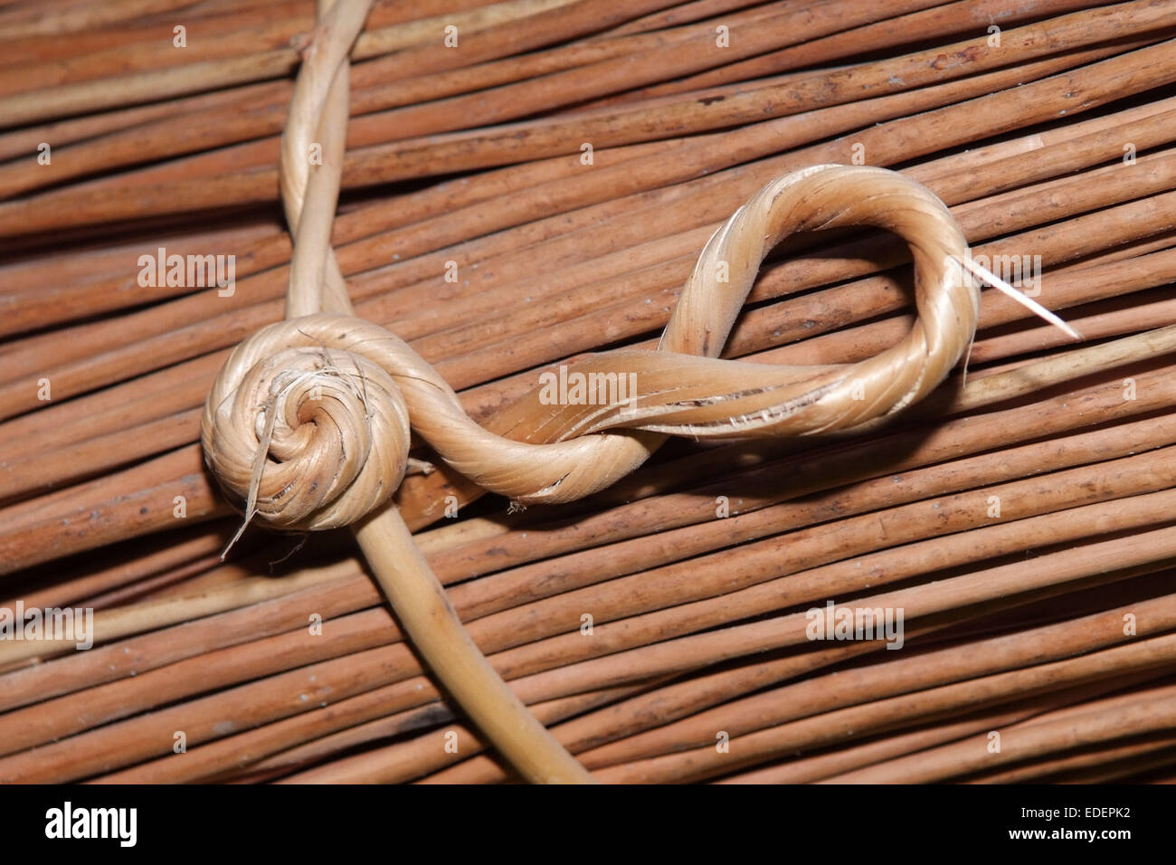 Willow growing and cutting on the Somerset Levels, with products