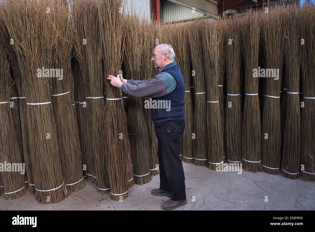 Willow growing and cutting on the Somerset Levels, with products
