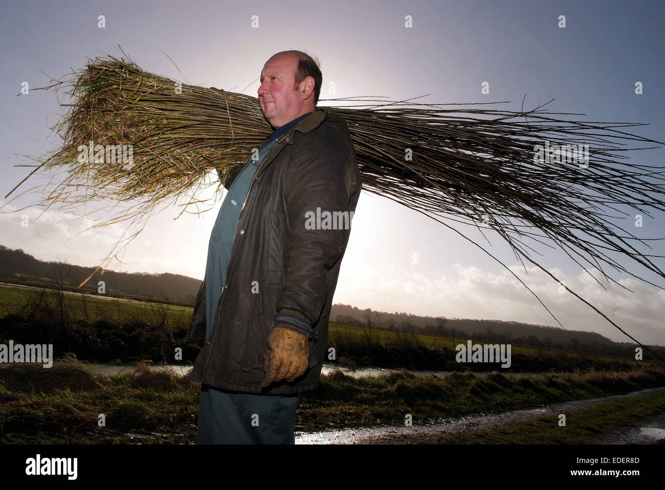 Willow growing and cutting on the Somerset Levels, with products