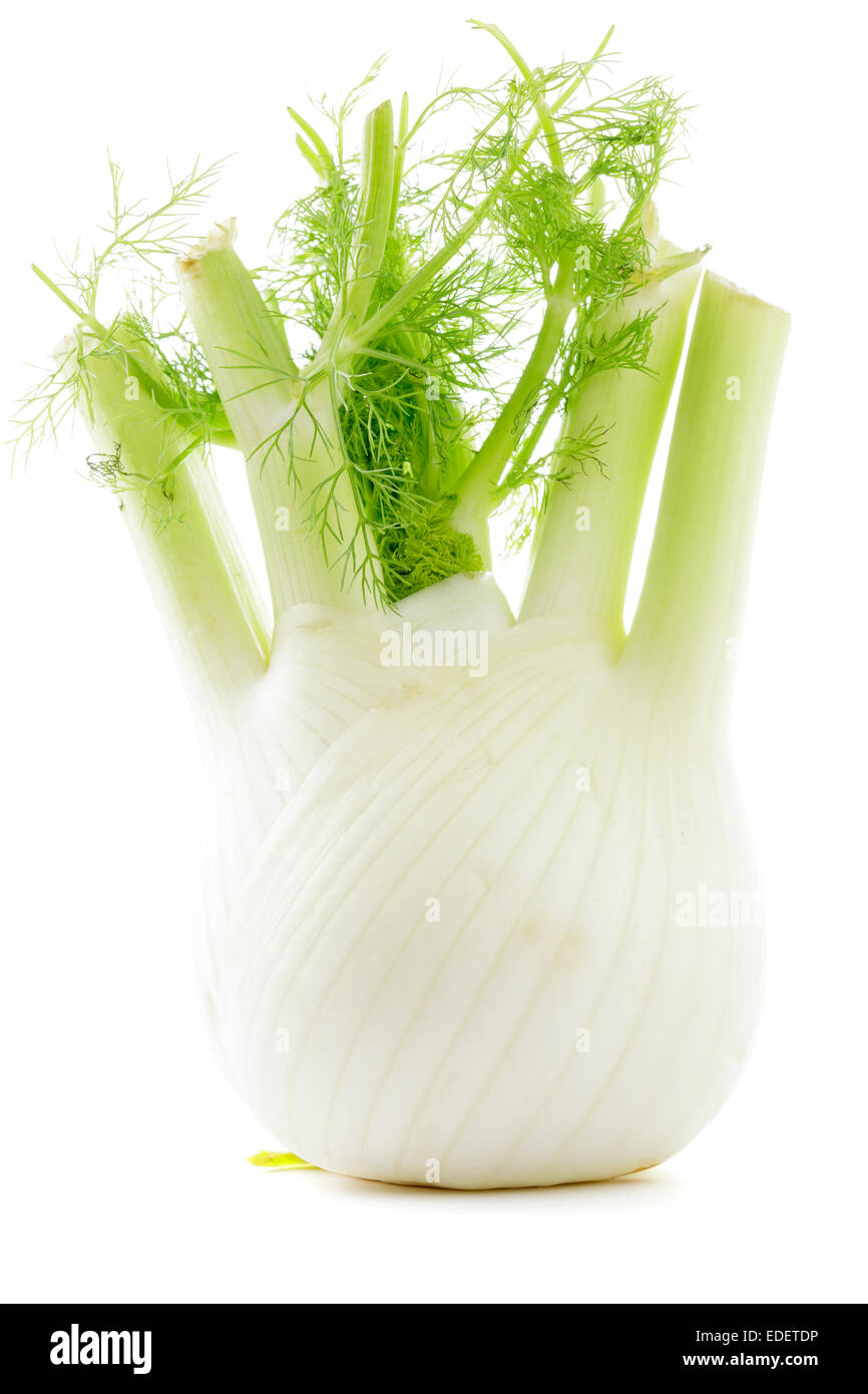 Fennel bulb hires stock photography and images Alamy