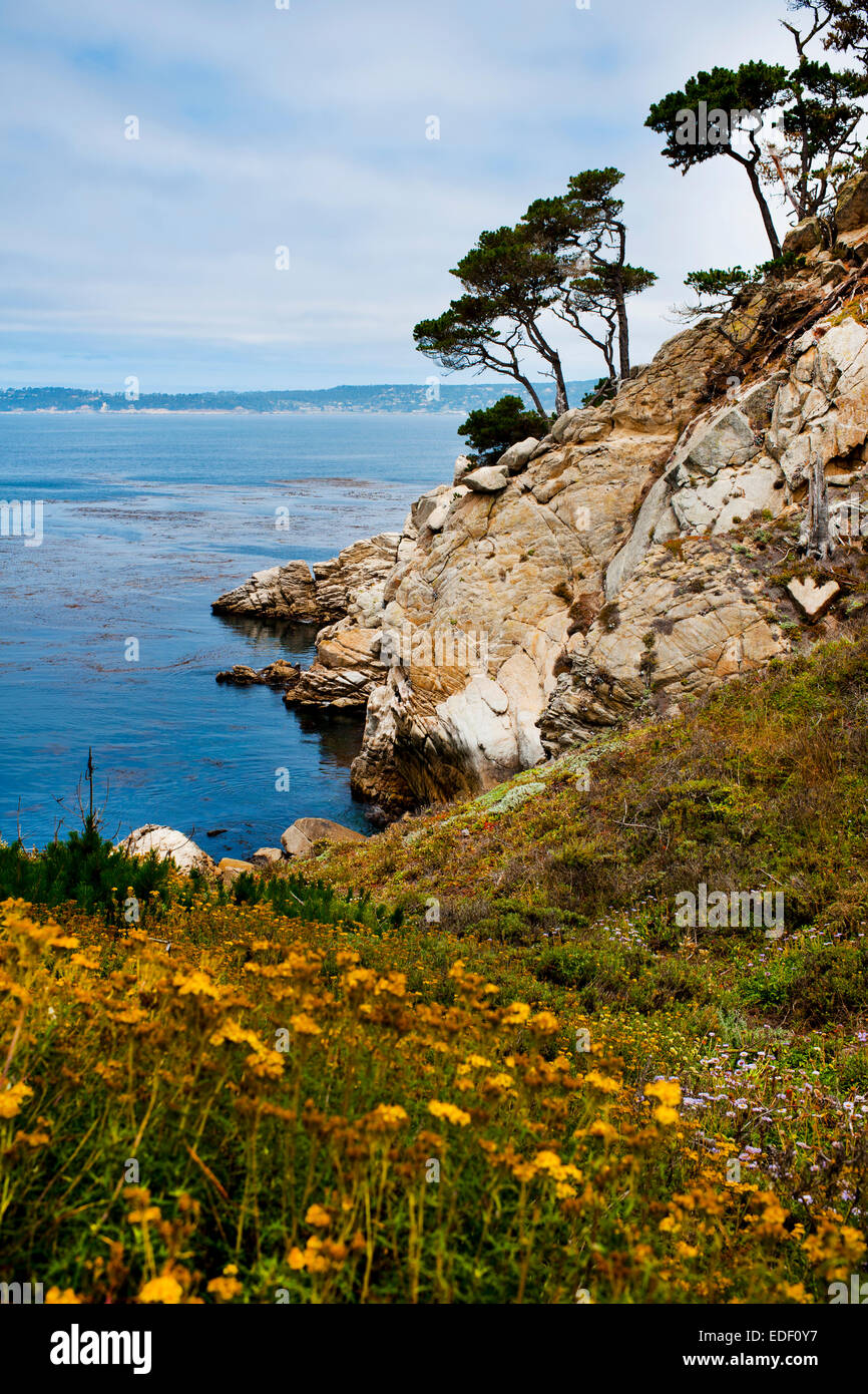 Scenic view while hiking in Point Lobos Natural Reserve near Big Sur, California. Stock Photo