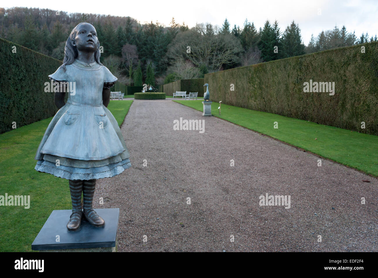 Statue Of Alice In Wonderland In Garden Stock Photo Alamy